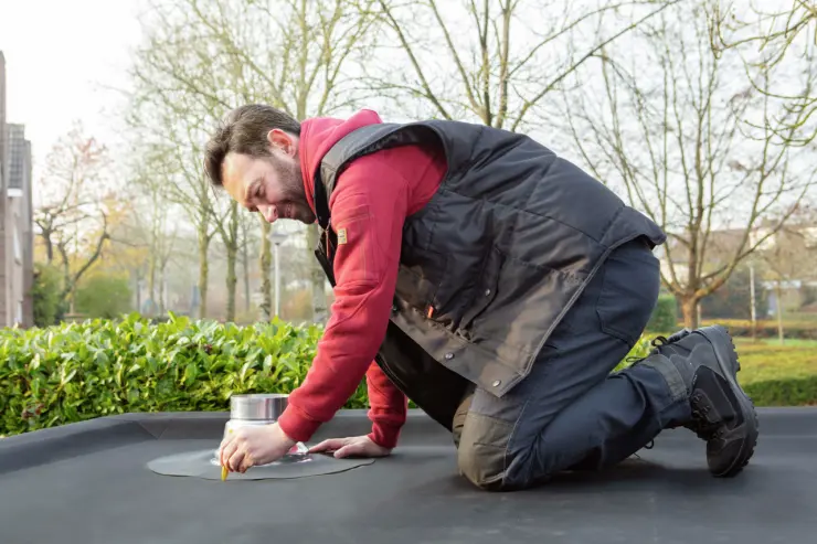 Griffon-locatie-dag-32180-1