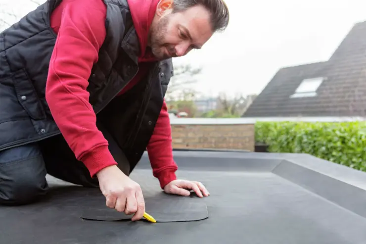 Griffon-locatie-dag-32272-1