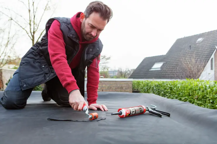 Griffon-locatie-dag-32309-1