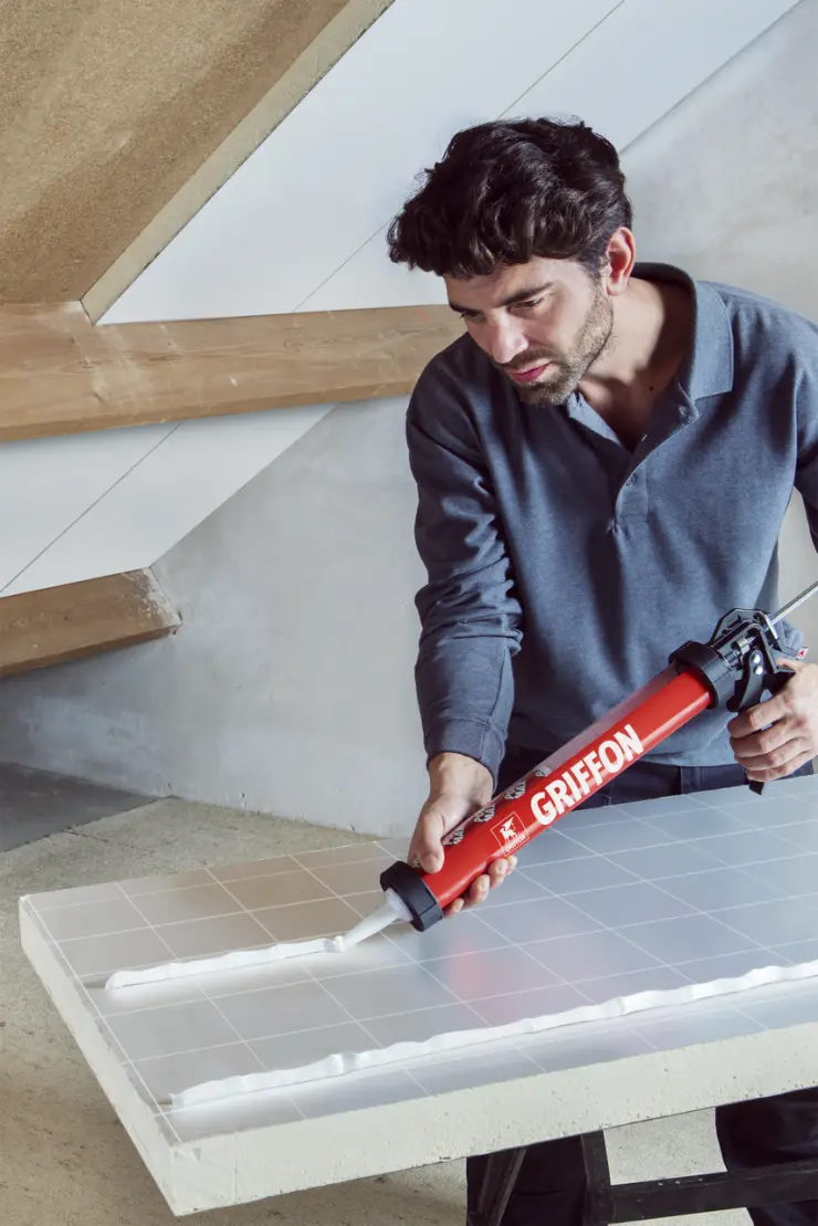 6311536-Article-application-shot-en-668-Griffon-NA-NA-Polymax_46